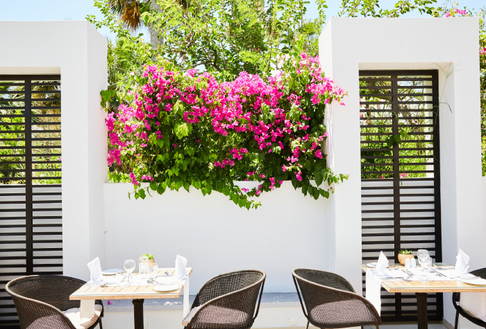 creta-palace-resort-in-crete-dining-meal-plans